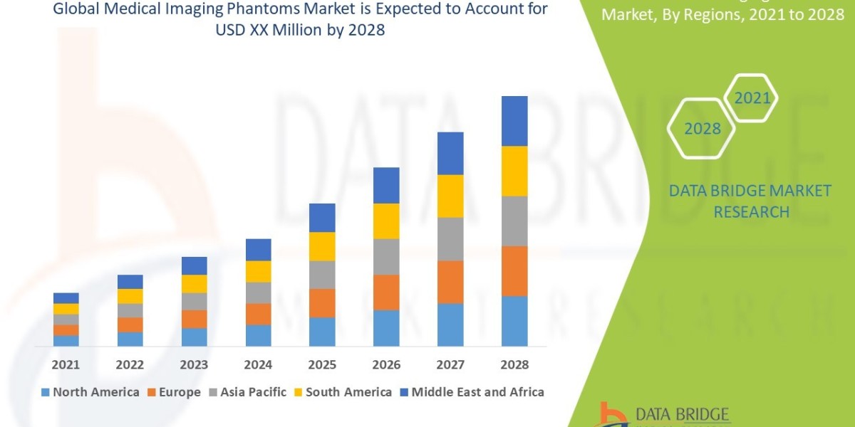 Medical Imaging Phantoms Market Insights and Growth Trends 2025 –2032