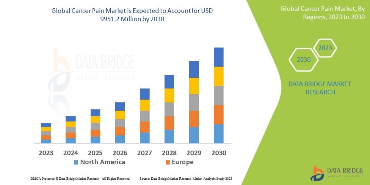 Cancer Pain Market Scope, Segmentation, and Key Insights 2025–2032