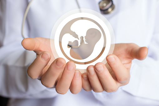 Best ivf specialist in new delhi | best ivf treatment in new delhi - Dr Rupali Bassi