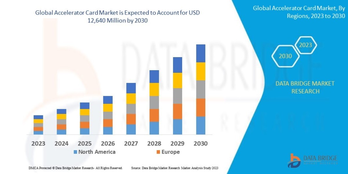 Accelerator Card Market Scope, Segmentation, and Key Insights 2025–2032